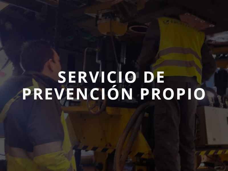 servicio de prevención propio nertus